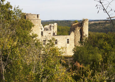 Le Château de Roussillon
