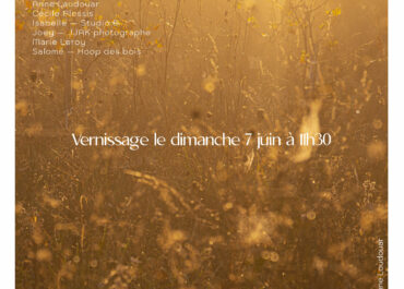 Exposition "Auxines" d'Objectif Collectif à Castelfranc